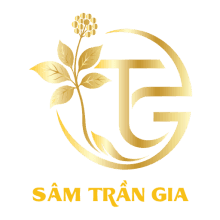 Sâm Trần Gia